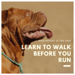 Learn English Online: English Lesson- Learn To Walk Before You Run