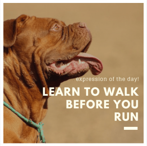 Learn English Online: English Lesson- Learn To Walk Before You Run